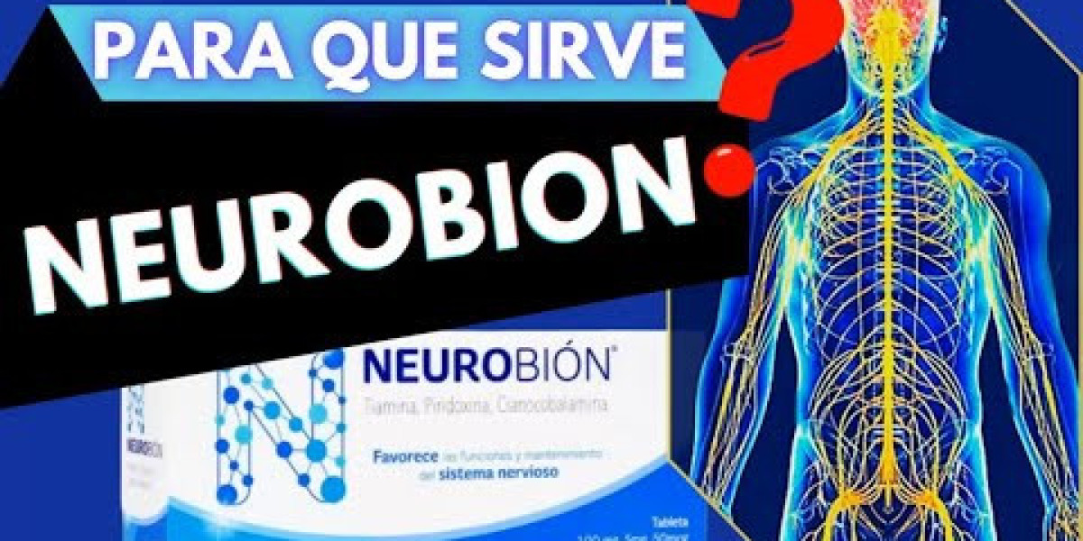 Qué es la ruda y para qué sirve: las propiedades de esta planta medicinal, sus contraindicaciones y cómo prepararla